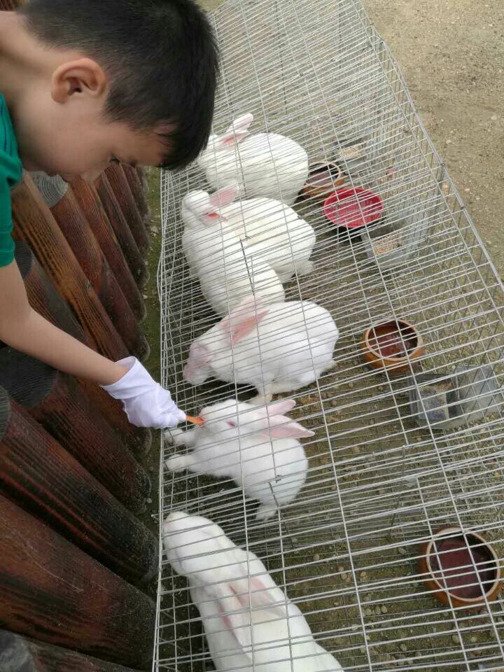 ku����(����)�ٷ���վ